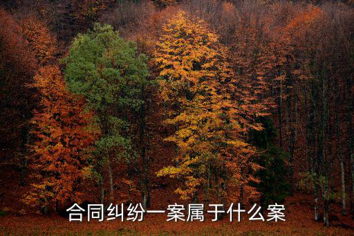 合同糾紛一案屬于什么案