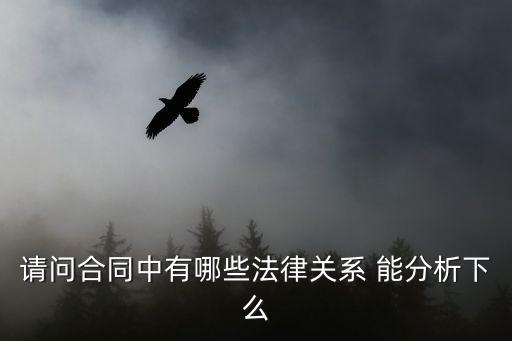 請問合同中有哪些法律關(guān)系 能分析下么
