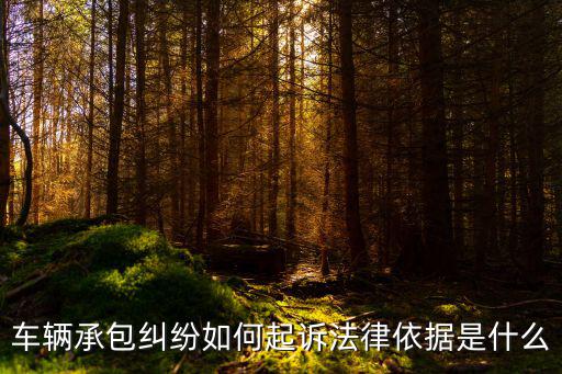 車輛承包糾紛如何起訴法律依據(jù)是什么