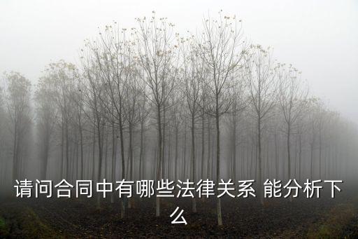 簽訂合同形成什么法律關(guān)系，請(qǐng)問合同中有哪些法律關(guān)系 能分析下么