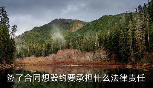 簽了合同想毀約要承擔(dān)什么法律責(zé)任