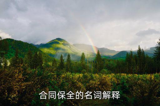 合同保全的名詞解釋