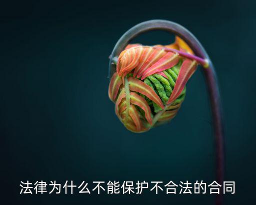 法律為什么不能保護(hù)不合法的合同