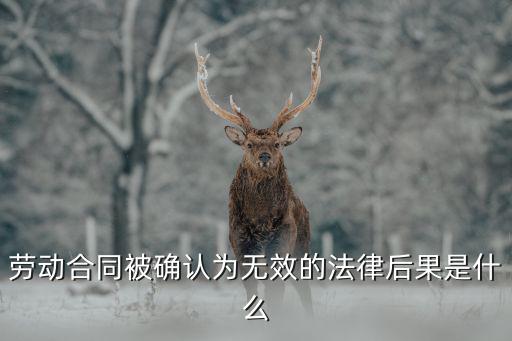 勞動合同被確認為無效的法律后果是什么