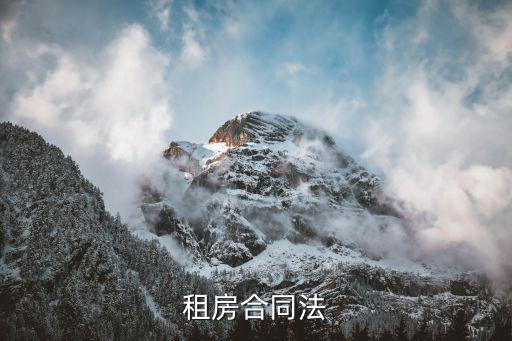 租房合同依據(jù)什么法律條文，租房合同法
