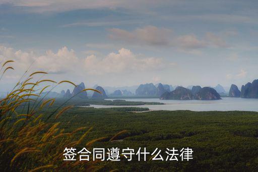 簽合同遵守什么法律