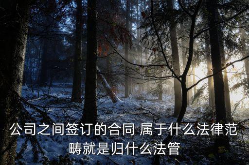 公司之間簽訂的合同 屬于什么法律范疇就是歸什么法管