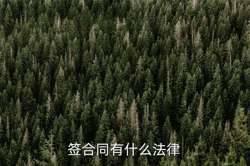 合同訂立依據(jù)什么法律，簽合同遵守什么法律