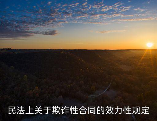民法上關(guān)于欺詐性合同的效力性規(guī)定