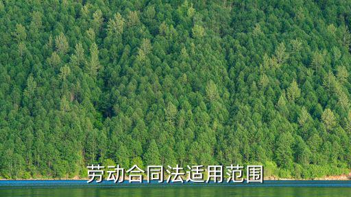 勞務(wù)合同適用什么法律規(guī)范，勞務(wù)合同糾紛實(shí)用哪些法律