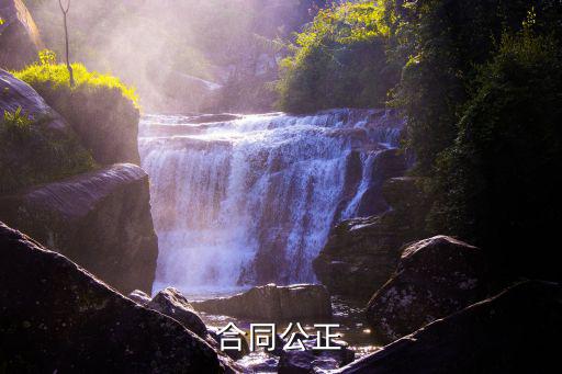 合同公正
