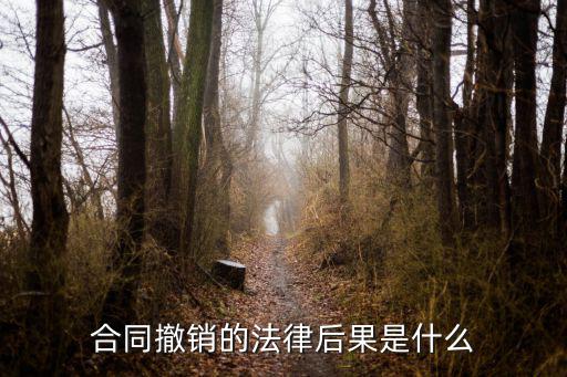 合同撤銷的法律后果是什么