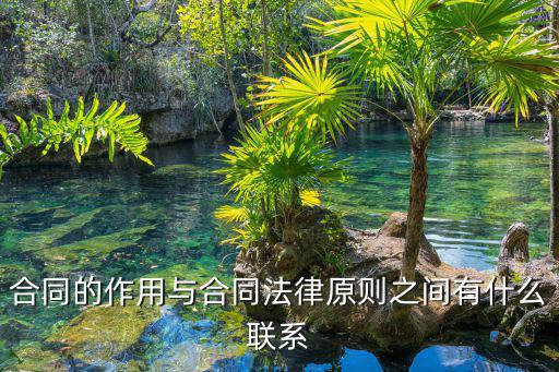 合同的作用與合同法律原則之間有什么聯(lián)系