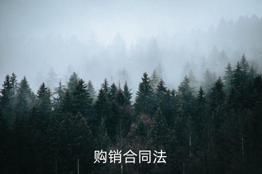 購(gòu)銷合同根據(jù)什么法律，買賣合同適用法律解釋有哪些