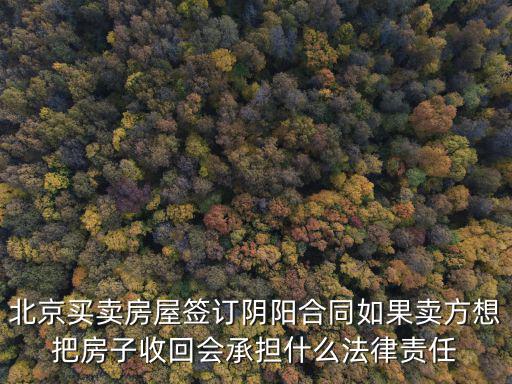 北京買賣房屋簽訂陰陽合同如果賣方想把房子收回會承擔(dān)什么法律責(zé)任