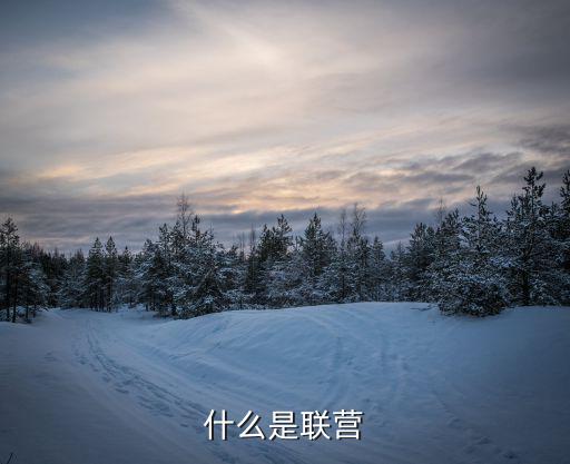 什么是聯(lián)營(yíng)