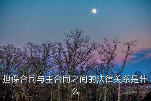 擔(dān)保合同根據(jù)什么法律規(guī)定，擔(dān)保合同與主合同之間的法律關(guān)系是什么