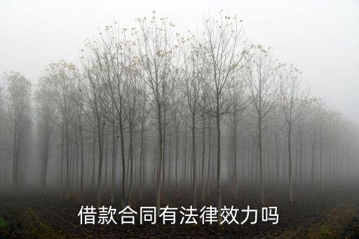 什么借款合同生法律效應(yīng)，借款合同有法律效力嗎