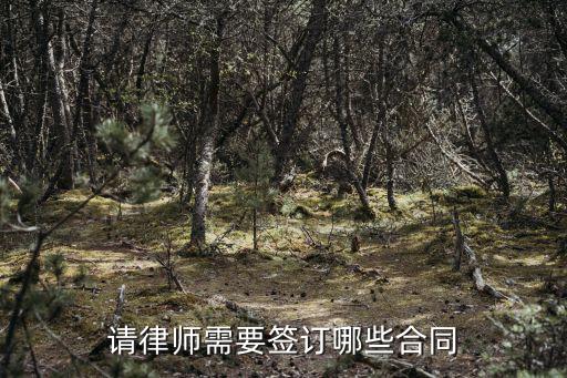 法律服務(wù)簽什么合同有效，什么場(chǎng)合簽的合同才有法律效用