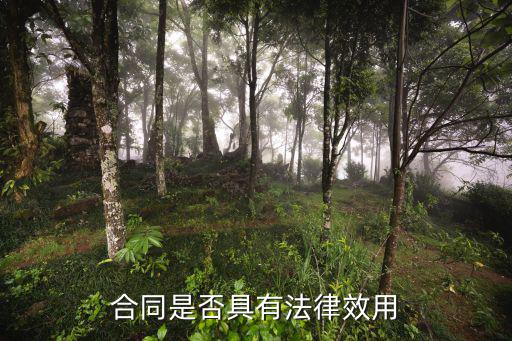 為什么合同條款有法律效力，什么樣的合同才具有法律效果