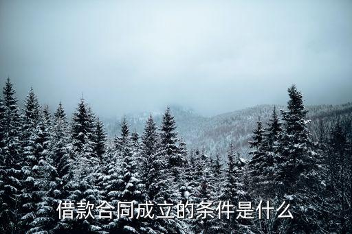 借款合同成立的條件是什么