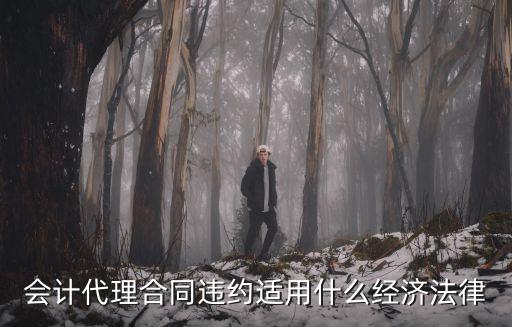 會計代理合同違約適用什么經(jīng)濟法律