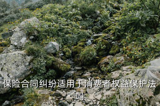 保險(xiǎn)合同糾紛適用于消費(fèi)者權(quán)益保護(hù)法嗎