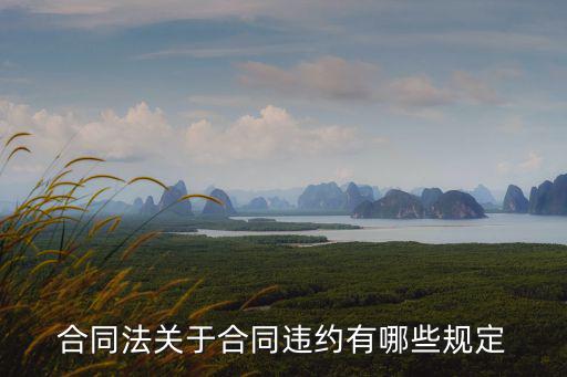 合同法關(guān)于合同違約有哪些規(guī)定
