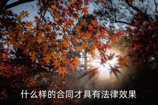 什么樣的合同才具有法律效果