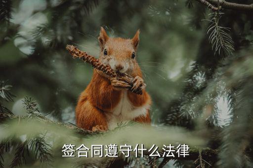 訂立合同要經(jīng)歷什么法律，訂立格式合同應(yīng)遵循哪些法律規(guī)則