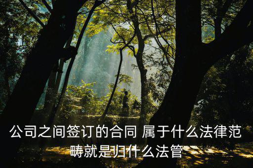 公司之間簽訂的合同 屬于什么法律范疇就是歸什么法管