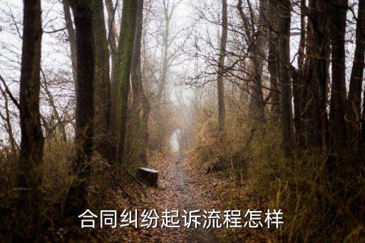 合同糾紛走什么法律流程，關于合同糾紛是可以走法律程序的是么