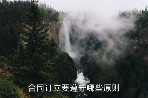 合同訂立要遵守哪些原則
