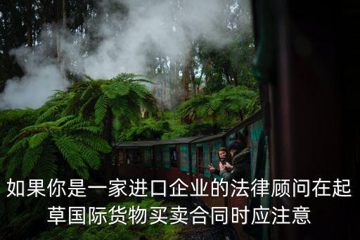 如果你是一家進口企業(yè)的法律顧問在起草國際貨物買賣合同時應(yīng)注意