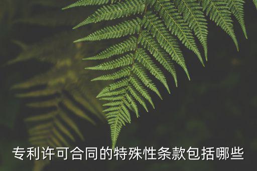 專利許可合同的特殊性條款包括哪些