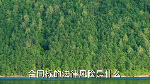 合同標的法律風(fēng)險是什么