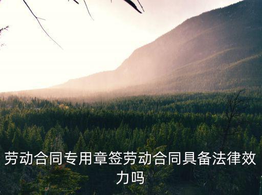 勞動合同專用章簽勞動合同具備法律效力嗎