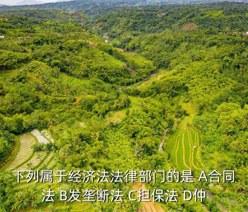 下列屬于經(jīng)濟法法律部門的是 A合同法 B發(fā)壟斷法 C擔保法 D仲