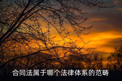 合同法屬于哪個(gè)法律體系的范疇
