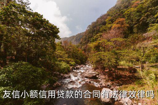 友信小額信用貸款的合同有法律效律嗎