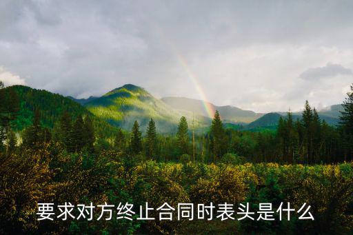 要求對方終止合同時表頭是什么