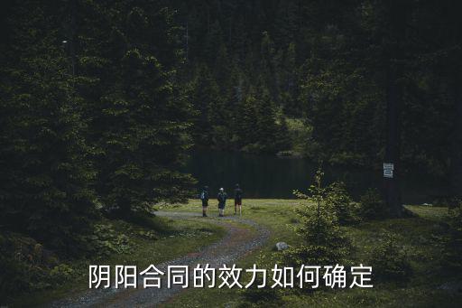 什么是陰陽合同的法律效力，陰陽合同是否具有法律效力
