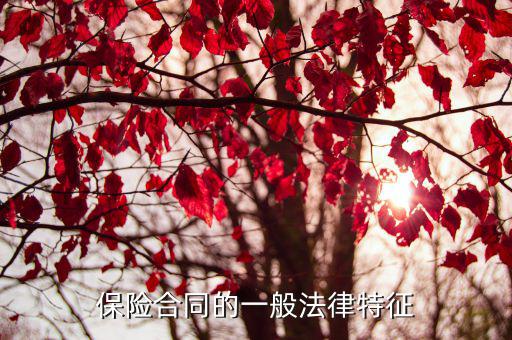 保險合同的一般法律特征