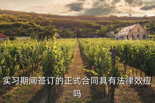 實習(xí)合同依據(jù)什么法律，實習(xí)期間簽訂的正式合同具有法律效應(yīng)嗎