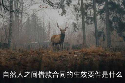 借款合同符合什么法律要件，自然人之間借款合同的生效要件是什么