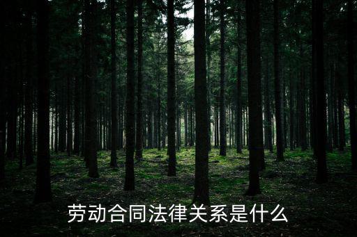 勞動(dòng)合同法律關(guān)系是什么