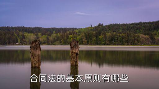 合同管理的法律原則是什么，工程合同管理的原則是什么
