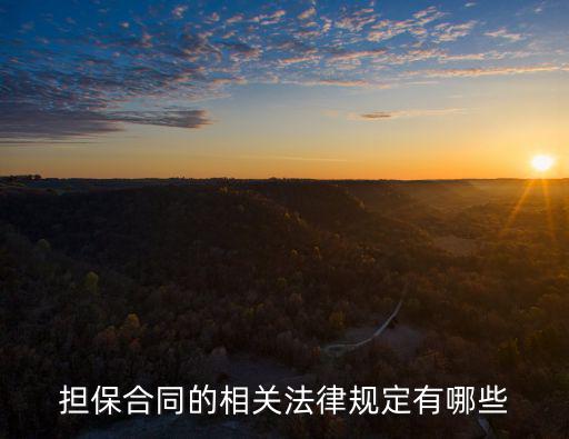 合同擔保具有什么法律，承包合同中擔保人的法律責任
