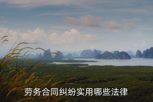 勞務(wù)合同出自什么法律，勞務(wù)合同糾紛實(shí)用哪些法律