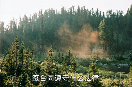 簽定合同根據(jù)什么法律，簽合同遵守什么法律